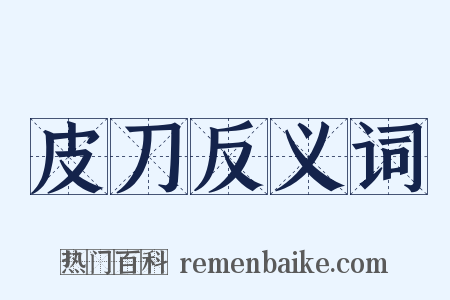 皮刀反义词是什么意思的图片